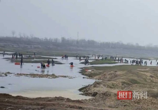 大量民众涌入河里捕捞河蚌场面壮观，当地：马上就到禁渔期