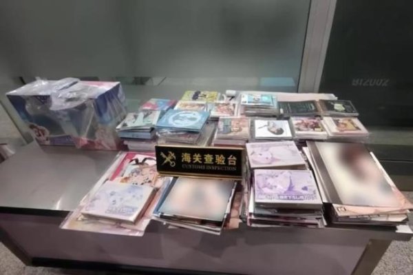 女子从日本带回244本淫秽漫画获刑 跨境代购触法网