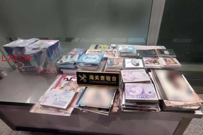 女子从日本带回244本淫秽漫画获刑