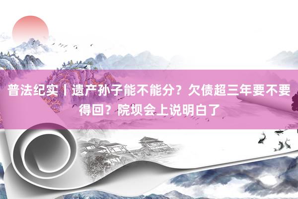 普法纪实丨遗产孙子能不能分？欠债超三年要不要得回？院坝会上说明白了