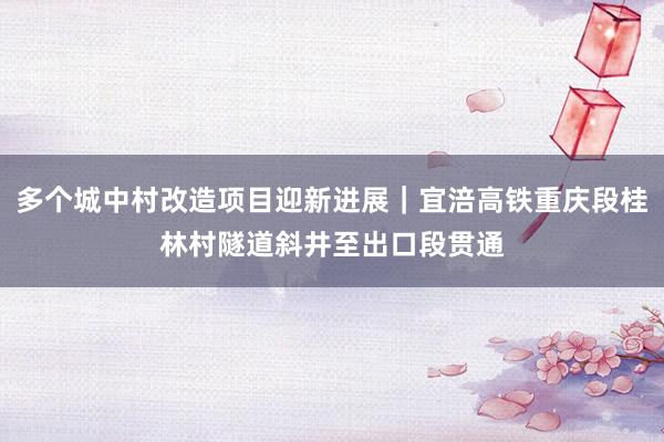 多个城中村改造项目迎新进展｜宜涪高铁重庆段桂林村隧道斜井至出口段贯通