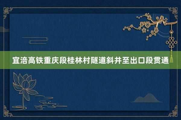 宜涪高铁重庆段桂林村隧道斜井至出口段贯通