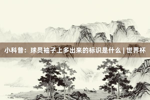 小科普：球员袖子上多出来的标识是什么 | 世界杯
