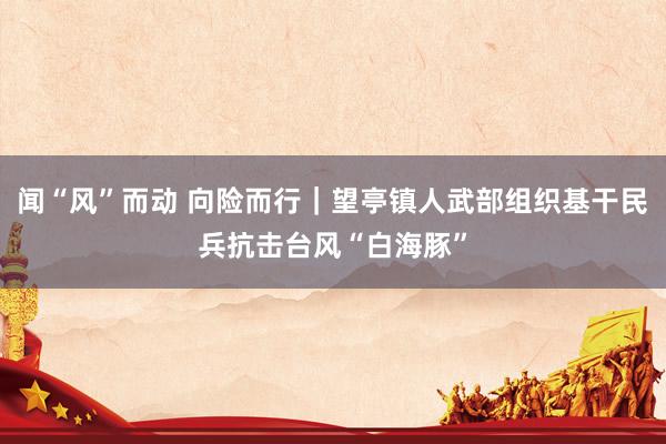 闻“风”而动 向险而行｜望亭镇人武部组织基干民兵抗击台风“白海豚”