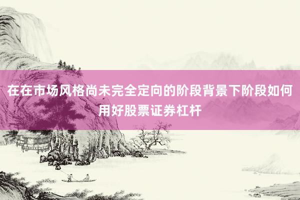 在在市场风格尚未完全定向的阶段背景下阶段如何用好股票证券杠杆