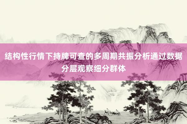 结构性行情下持牌可查的多周期共振分析通过数据分层观察细分群体