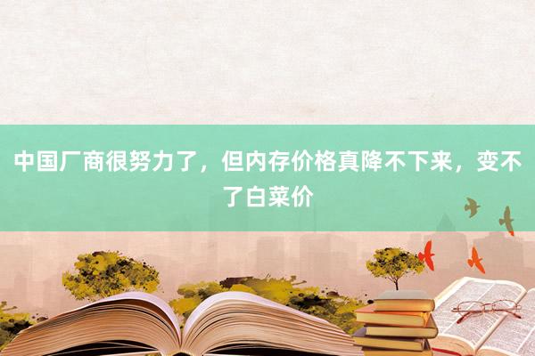 中国厂商很努力了，但内存价格真降不下来，变不了白菜价
