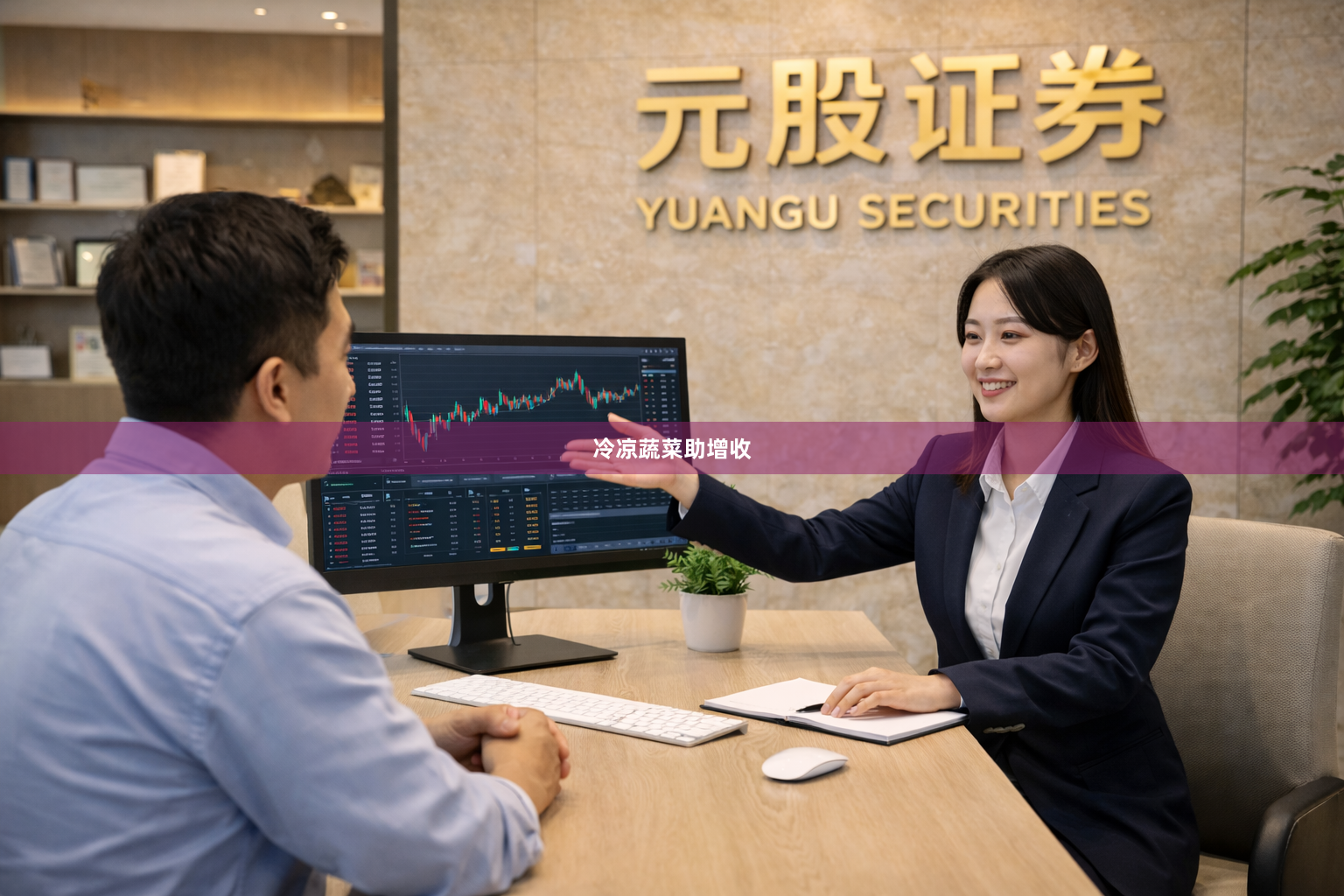 冷凉蔬菜助增收