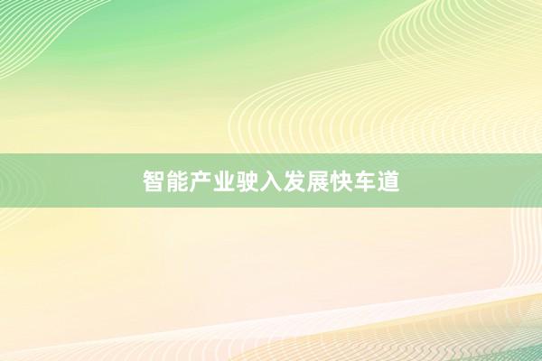 智能产业驶入发展快车道