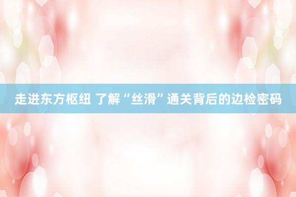 走进东方枢纽 了解“丝滑”通关背后的边检密码
