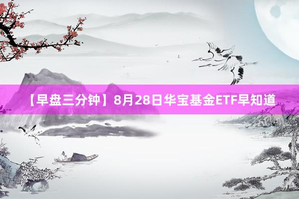 【早盘三分钟】8月28日华宝基金ETF早知道