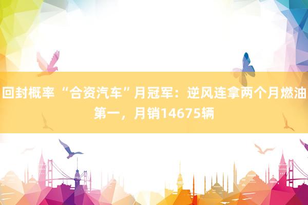 回封概率 “合资汽车”月冠军：逆风连拿两个月燃油第一，月销14675辆
